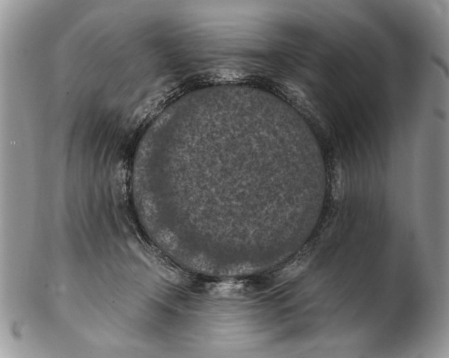 X0000102390366200808221830