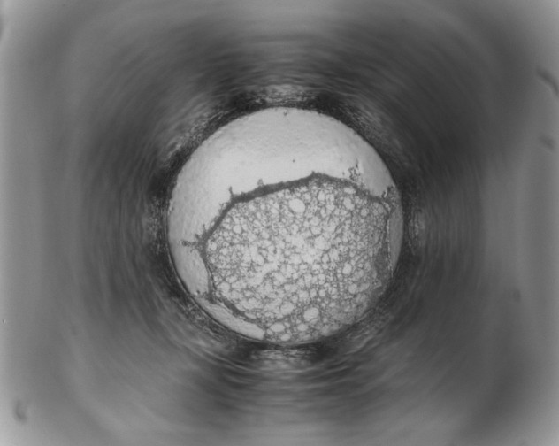 X0000102390367200808221830