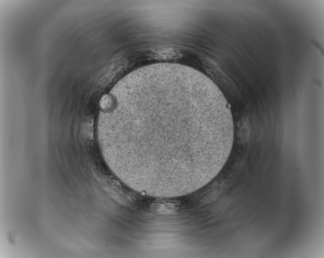 X0000102390368200808221830