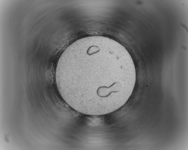 X0000102390370200808221830
