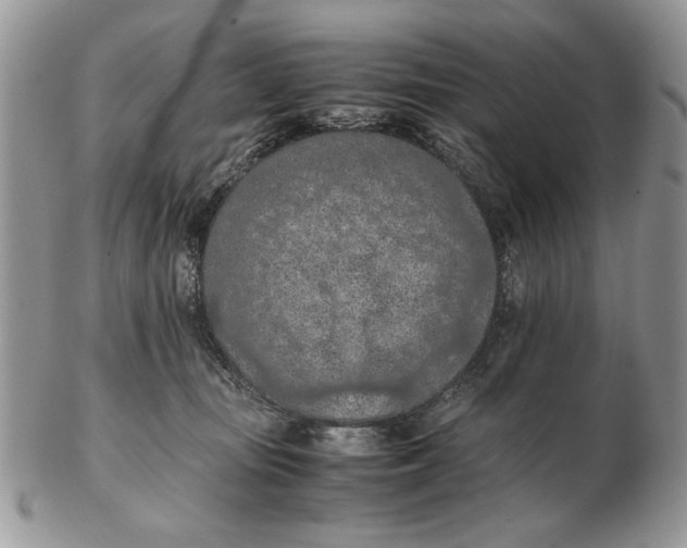X0000102390371200808221830