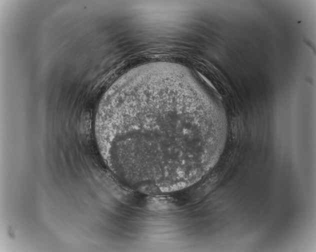 X0000102390372200808221830