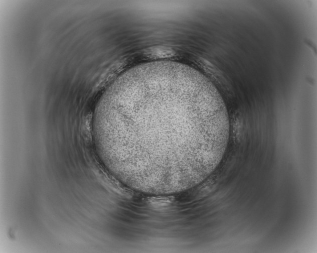 X0000102390373200808221830