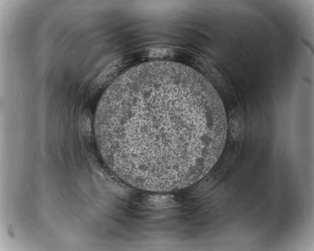 X0000102390375200808221830