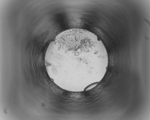 X0000102390377200808221830