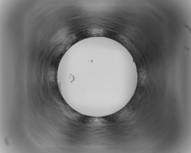 X0000102390379200808221830