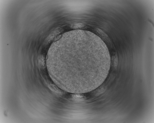 X0000102390380200808221830