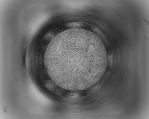 X0000102390381200808221830