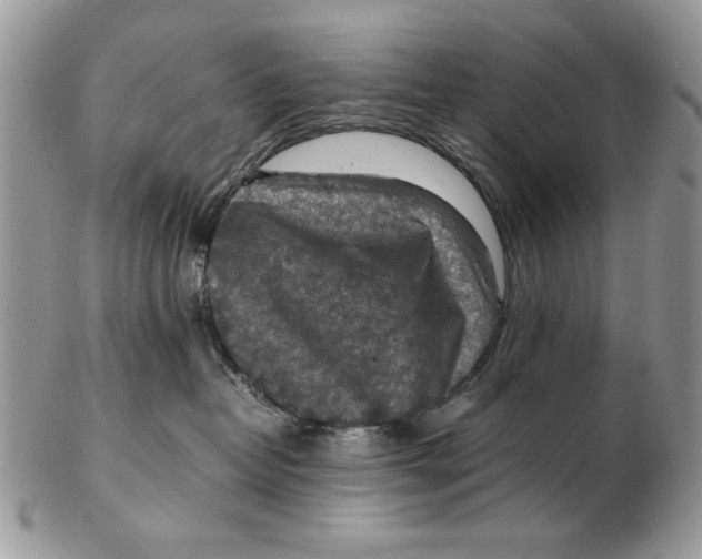 X0000102390382200808221830
