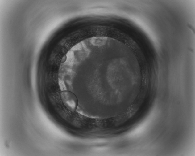 X0000102390383200808221830