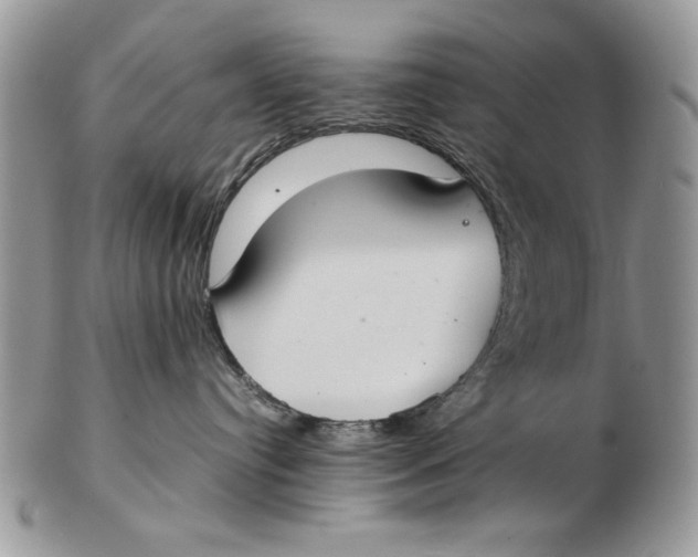 X0000102390384200808221830