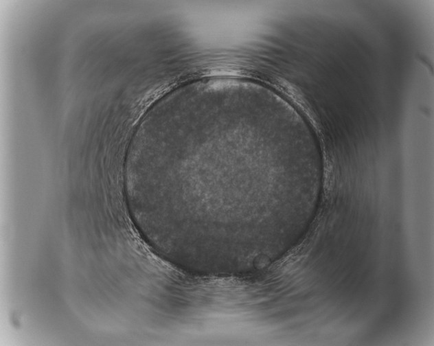 X0000102390385200808221830