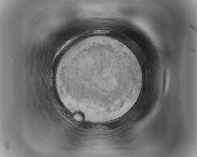 X0000102390387200808221830
