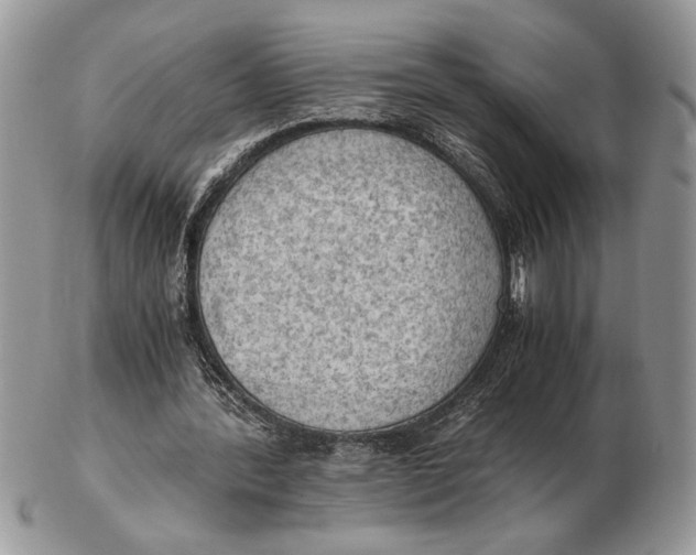 X0000102390388200808221830
