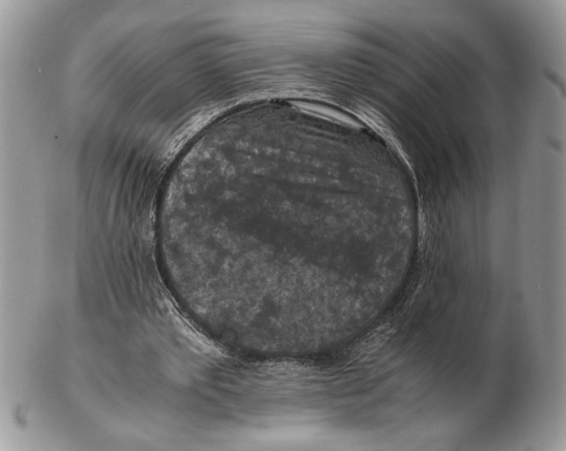 X0000102390389200808221830