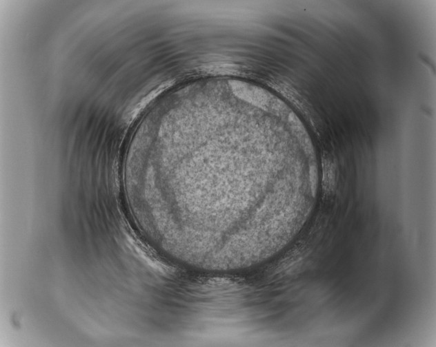 X0000102390390200808221830