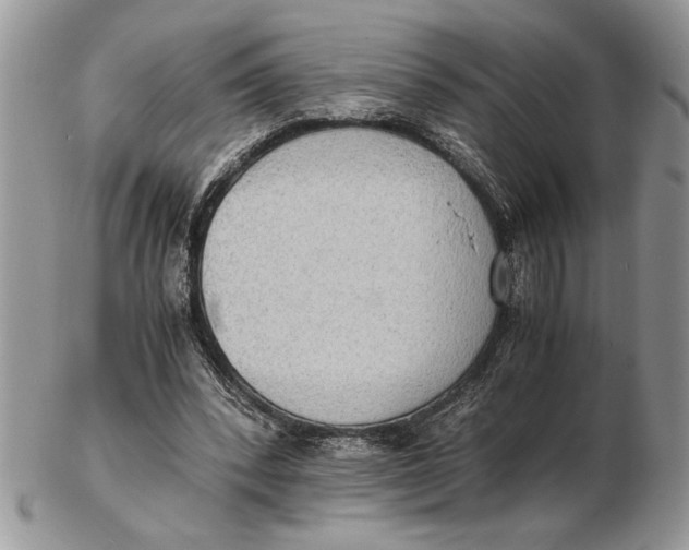 X0000102390392200808221830