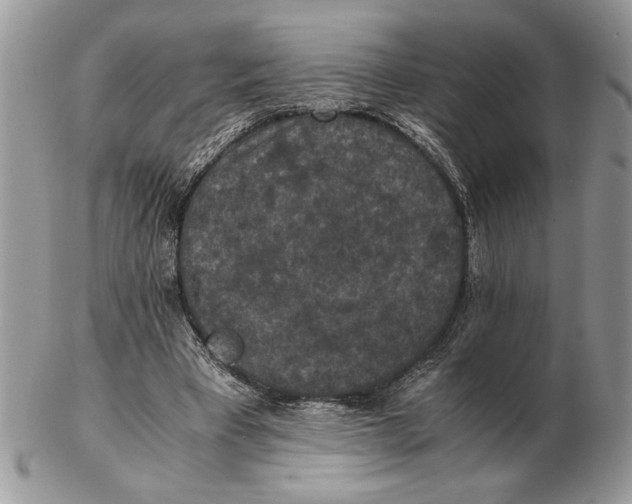 X0000102390393200808221830