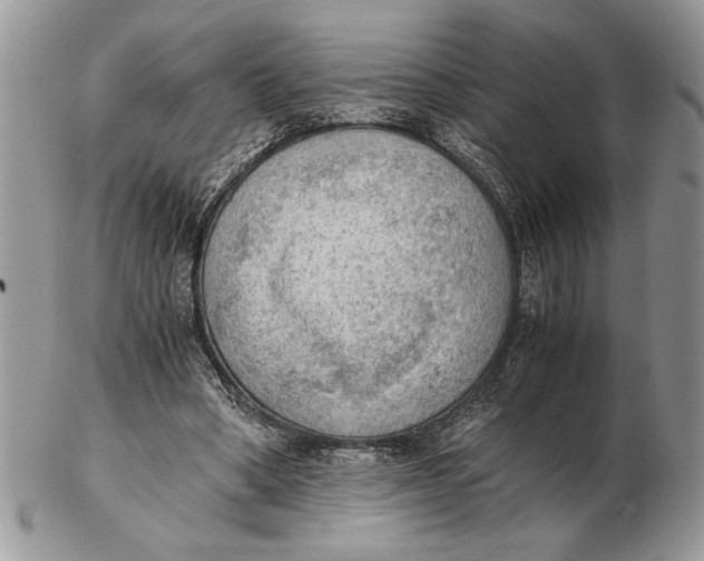 X0000102390394200808221829