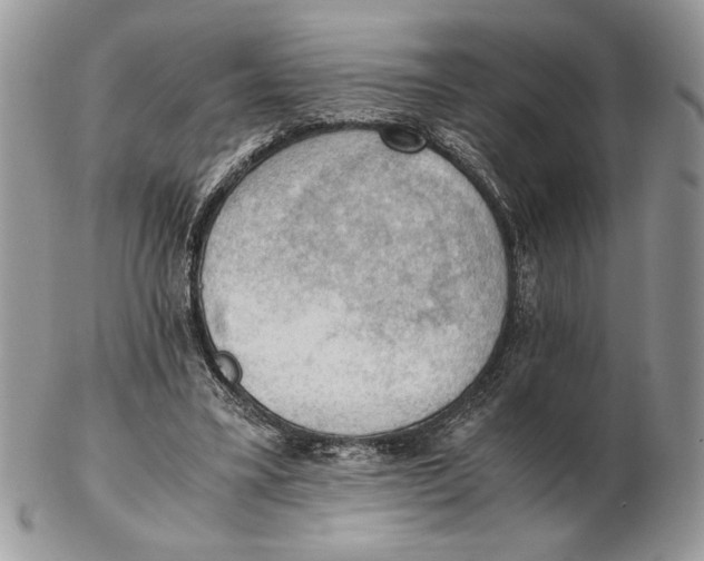 X0000102390395200808221829