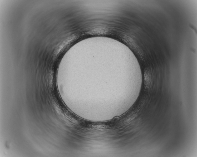 X0000102390396200808221829