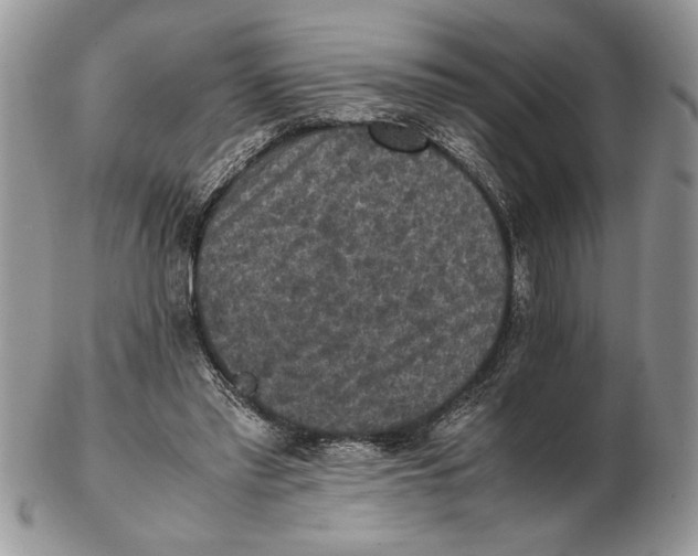 X0000102390397200808221829