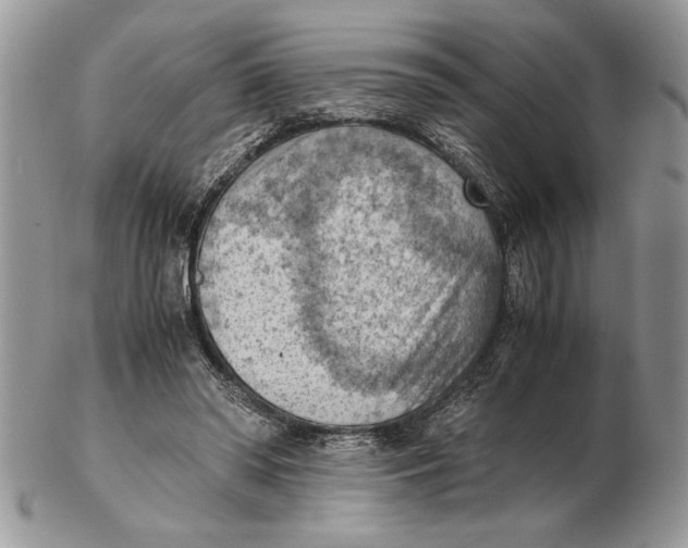 X0000102390398200808221829