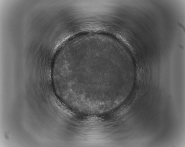 X0000102390399200808221829