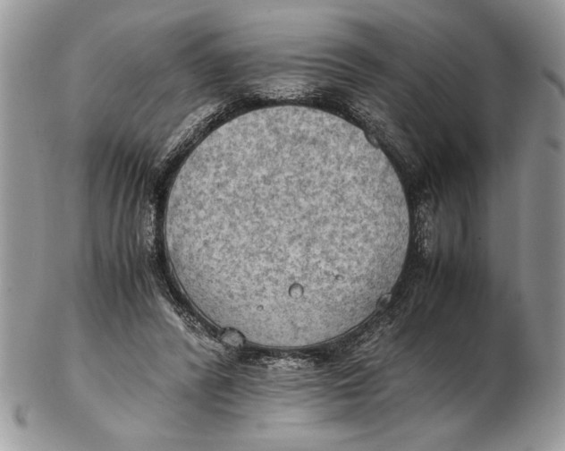 X0000102390400200808221829