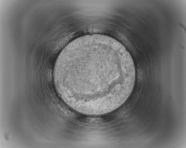 X0000102390401200808221829