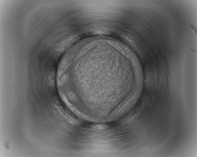 X0000102390402200808221829