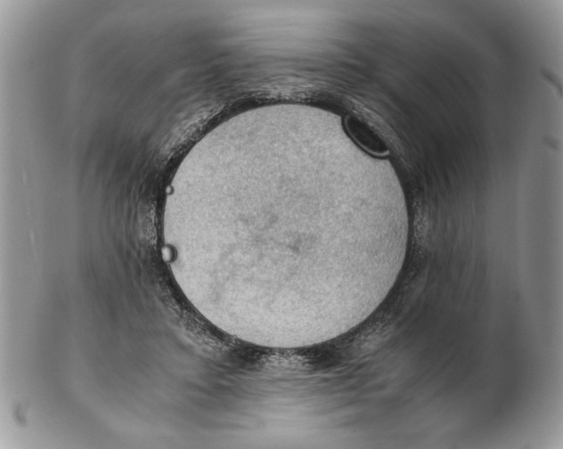 X0000102390403200808221829