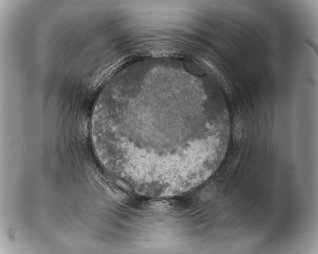 X0000102390405200808221829
