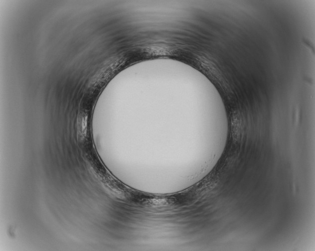 X0000102390406200808221829