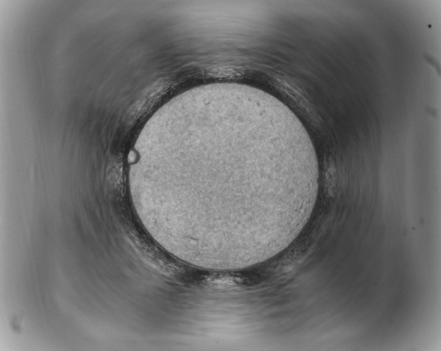 X0000102390407200808221829