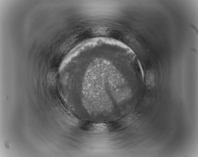 X0000102390409200808221829