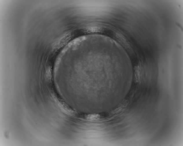 X0000102390410200808221829