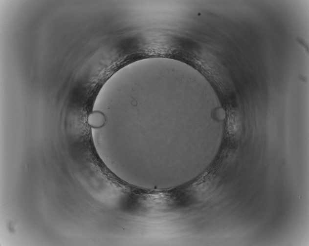 X0000102390411200808221829