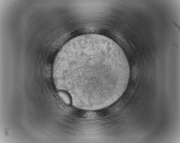 X0000102390413200808221829