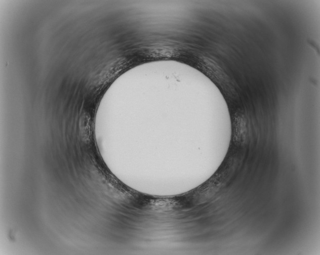 X0000102390414200808221829