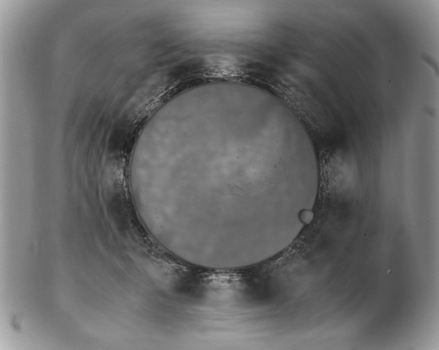 X0000102390415200808221829