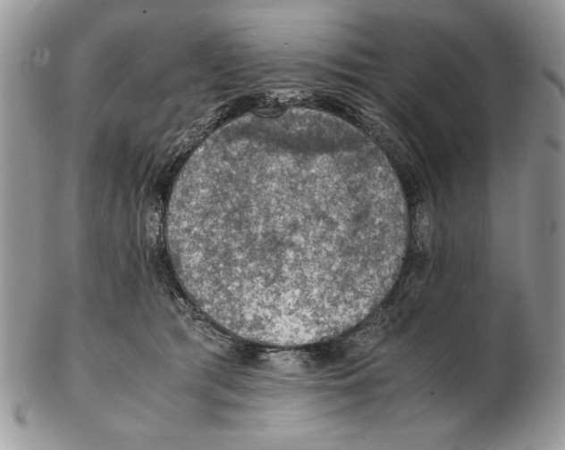 X0000102390417200808221829
