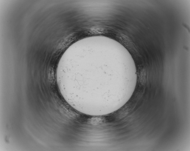 X0000102390418200808221829