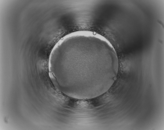 X0000102390419200808221829