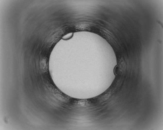 X0000102390420200808221829