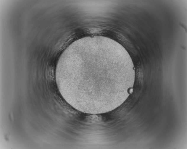 X0000102390421200808221829