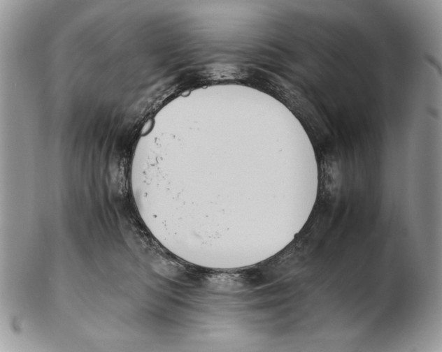 X0000102390422200808221829