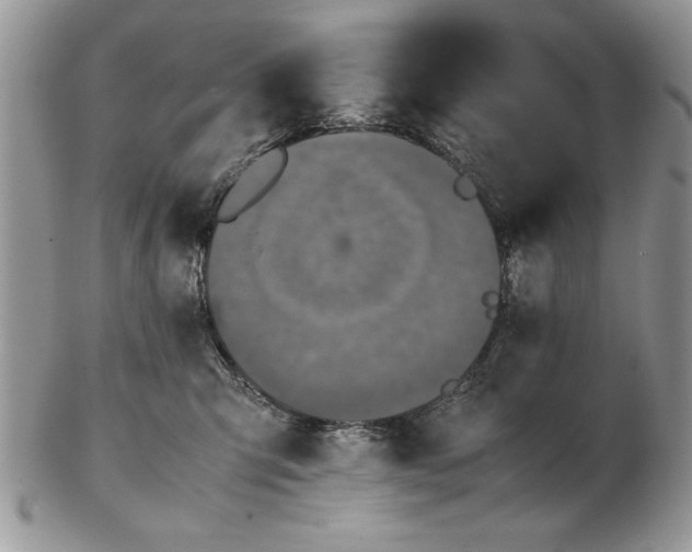 X0000102390423200808221829