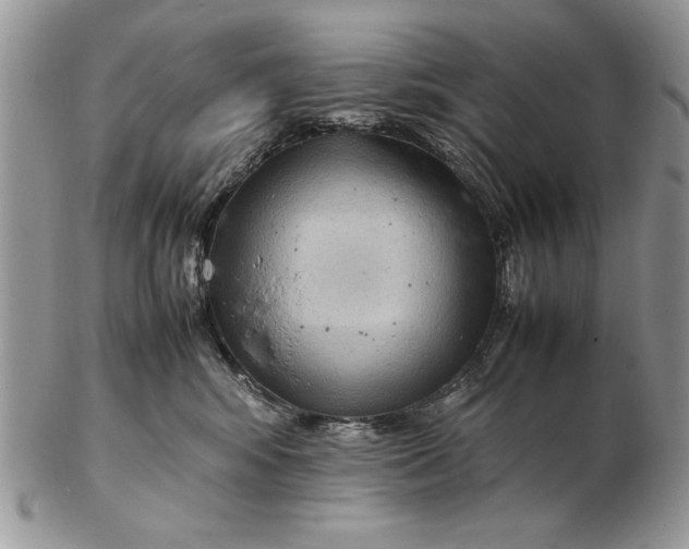 X0000102390424200808221829