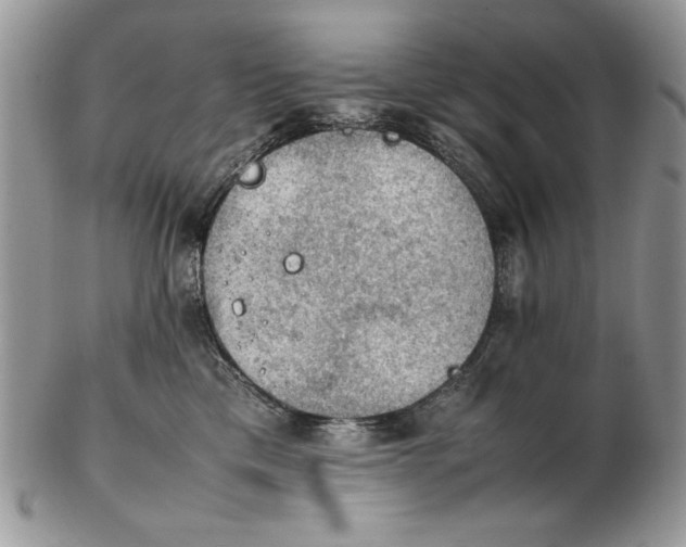 X0000102390425200808221829